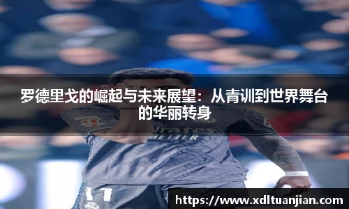 yy易游